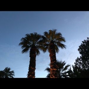 Meet your Posher, Kylee